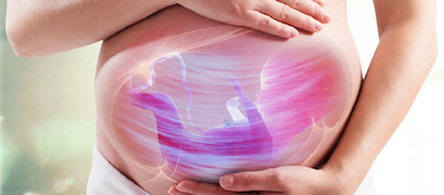 breech_birth_webster_technique